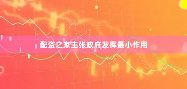 配资之家主张政府发挥最小作用