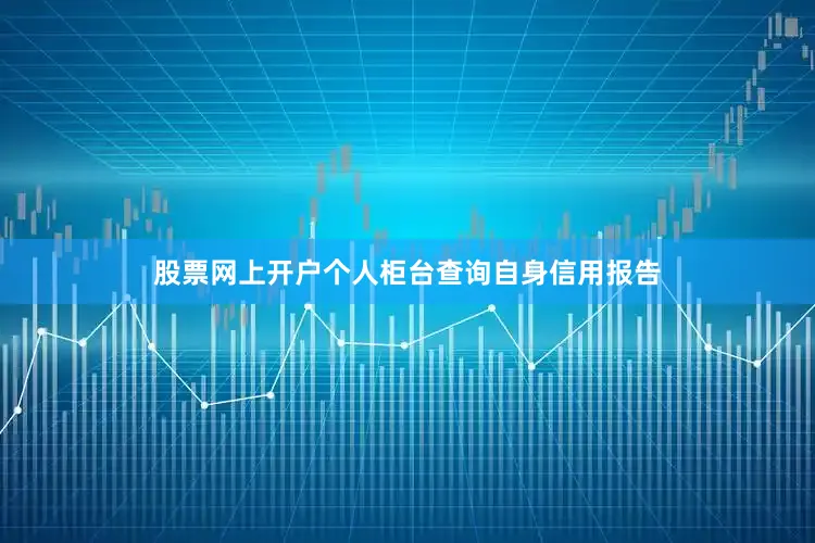 股票网上开户个人柜台查询自身信用报告