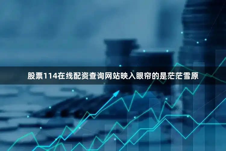 股票114在线配资查询网站映入眼帘的是茫茫雪原