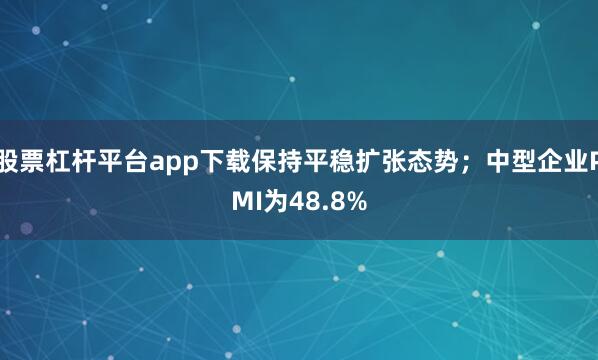 股票杠杆平台app下载保持平稳扩张态势；中型企业PMI为48.8%
